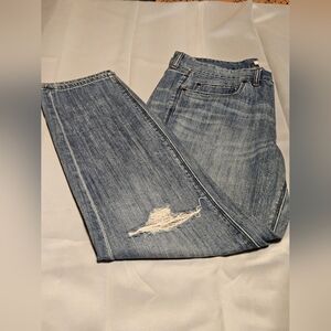 J. Crew Stylish Distressed Blue Jeans
